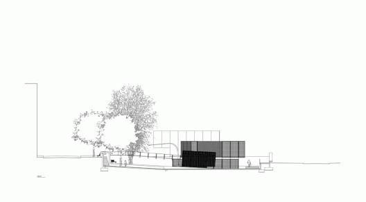 section