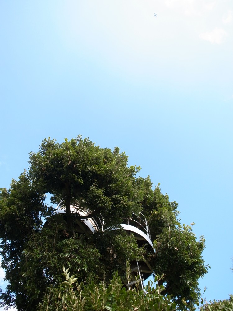 ‘Cloud’ Structure / SABAOARCH