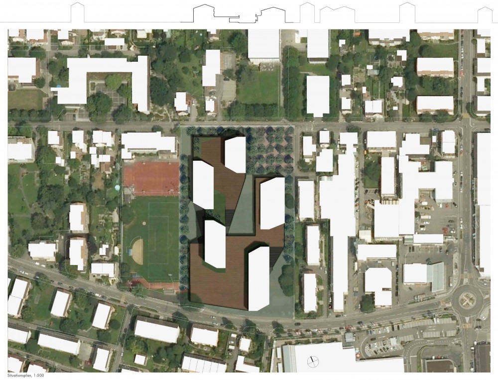Primary and Secondary School Proposal / RaichdelRio