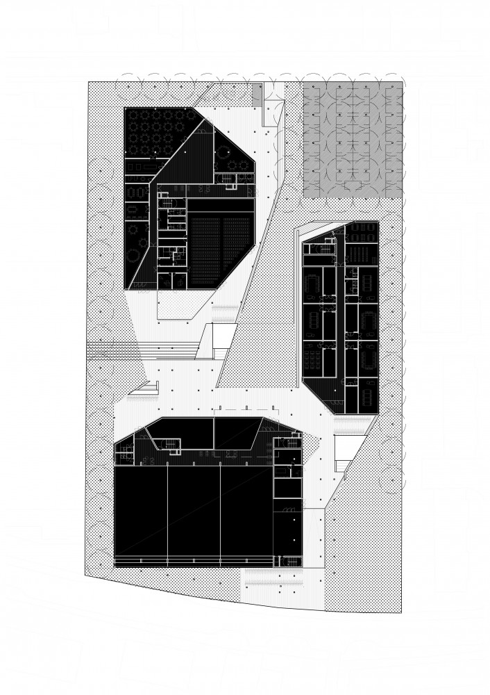 Primary and Secondary School Proposal / RaichdelRio