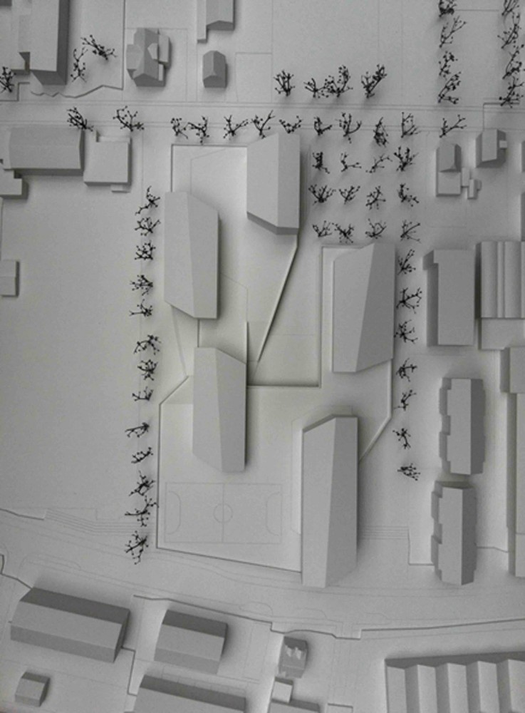 Primary and Secondary School Proposal / RaichdelRio