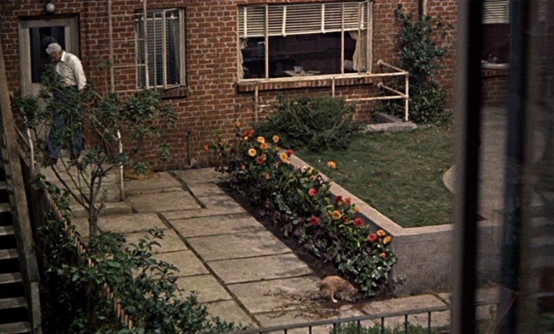 Films & Architecture: “Rear Window”