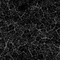 SFMoMA Exhibition "Spatial Experiments" (4) SFMoMA Exhibition "Spatial Experiments" (4) C.E.B. Reas, Process 7 (detail), 2010; multimedia; dimensions variable; Courtesy the artist; © C.E.B. Reas