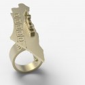 Aircraft Carrier: Carrier Ring by Tal Erez Aircraft Carrier: Carrier Ring by Tal Erez Carrier Ring by Tal Erez; Courtesy of Aircraft Carrier