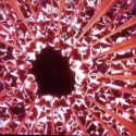 2012 Olympic Cauldron / Thomas Heatherwick (2) screenshot