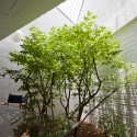 a21house / a21 studio © Hiroyuki Oki