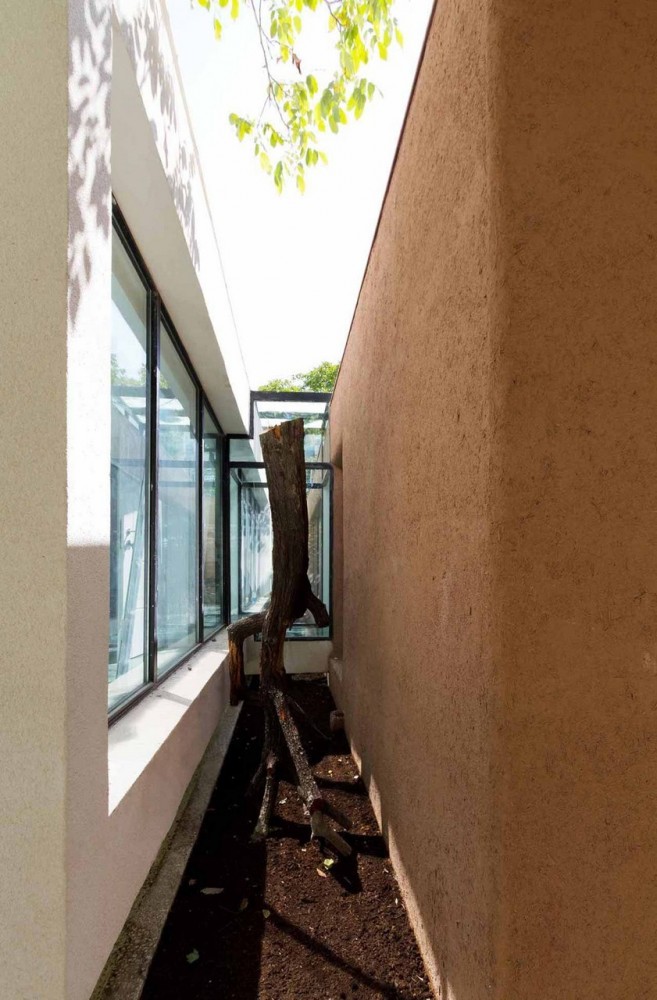 Amir Villa / Nextoffice – Alireza Taghaboni