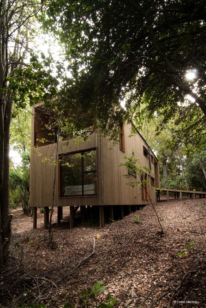 House La Invernada / Felipe Montégu