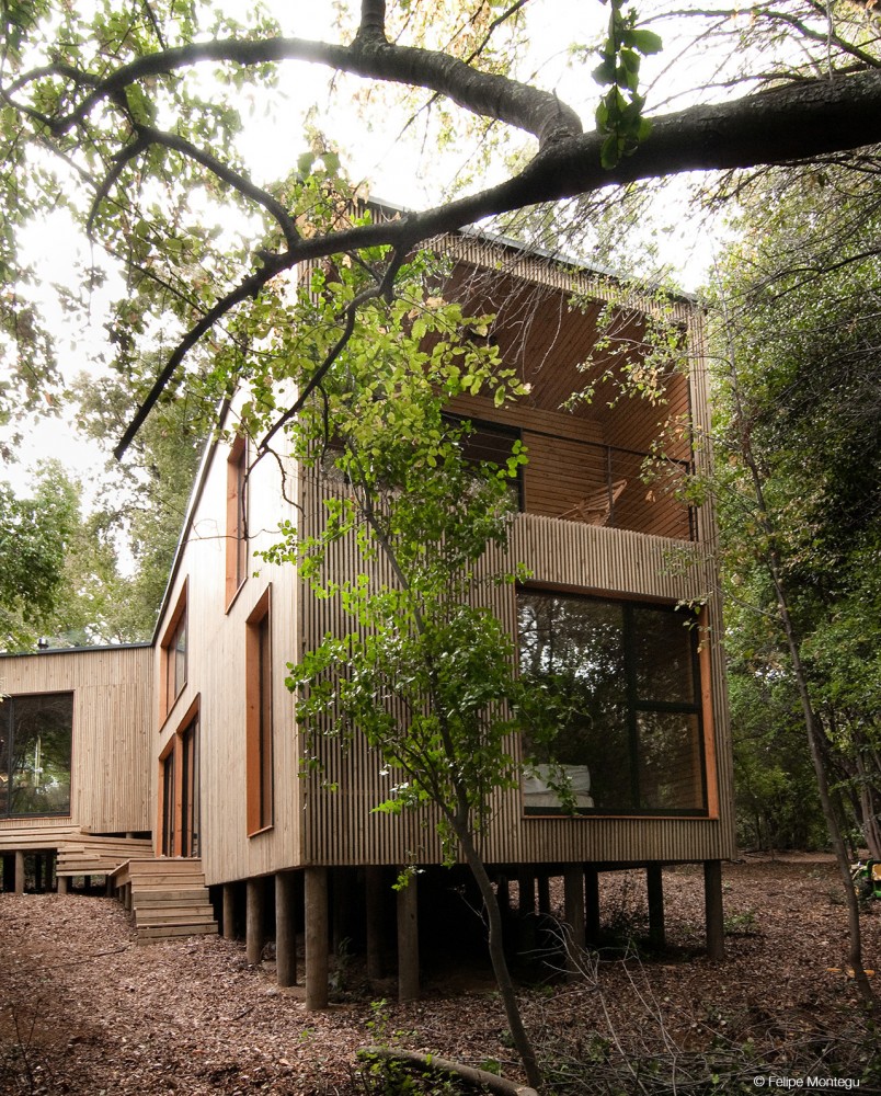 House La Invernada / Felipe Montégu