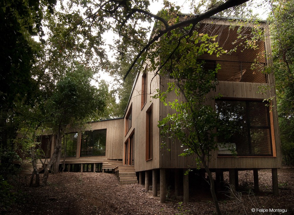 House La Invernada / Felipe Montégu