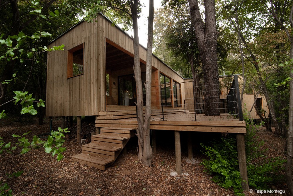 House La Invernada / Felipe Montégu