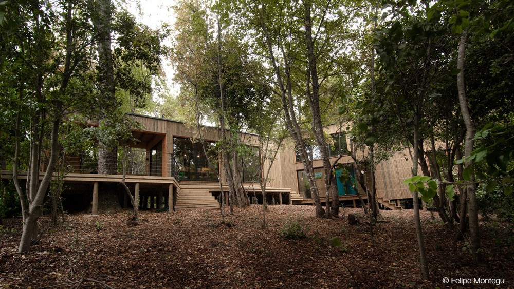 House La Invernada / Felipe Montégu