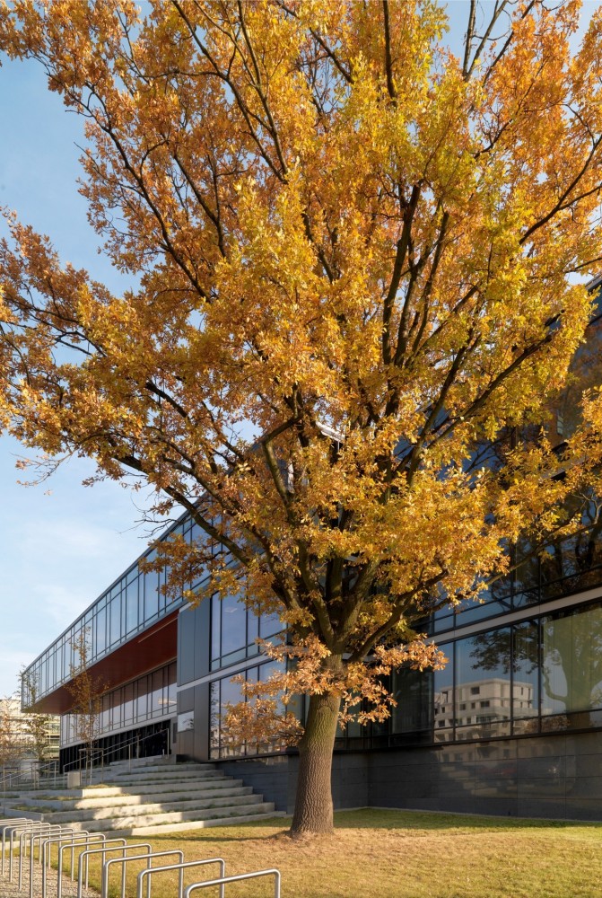 Pol-Aqua Company Headquarters / Hermanowicz Rewski Architekci