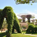 Gardens by the Bay / Grant Associates