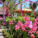 Gardens by the Bay / Grant Associates Gardens by the Bay / Grant Associates Courtesy of Grant Associates
