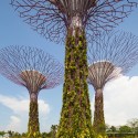 Gardens by the Bay / Grant Associates