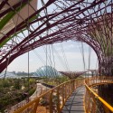 Gardens by the Bay / Grant Associates Gardens by the Bay / Grant Associates Courtesy of Grant Associates