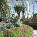 Gardens by the Bay / Grant Associates Gardens by the Bay / Grant Associates Courtesy of Grant Associates