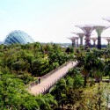 Gardens by the Bay / Grant Associates Gardens by the Bay / Grant Associates Courtesy of Grant Associates