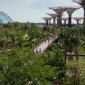 Gardens by the Bay / Grant Associates Gardens by the Bay / Grant Associates Courtesy of Grant Associates