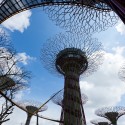 Gardens by the Bay / Grant Associates Gardens by the Bay / Grant Associates Courtesy of Grant Associates