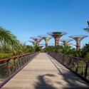 Gardens by the Bay / Grant Associates Gardens by the Bay / Grant Associates Courtesy of Grant Associates