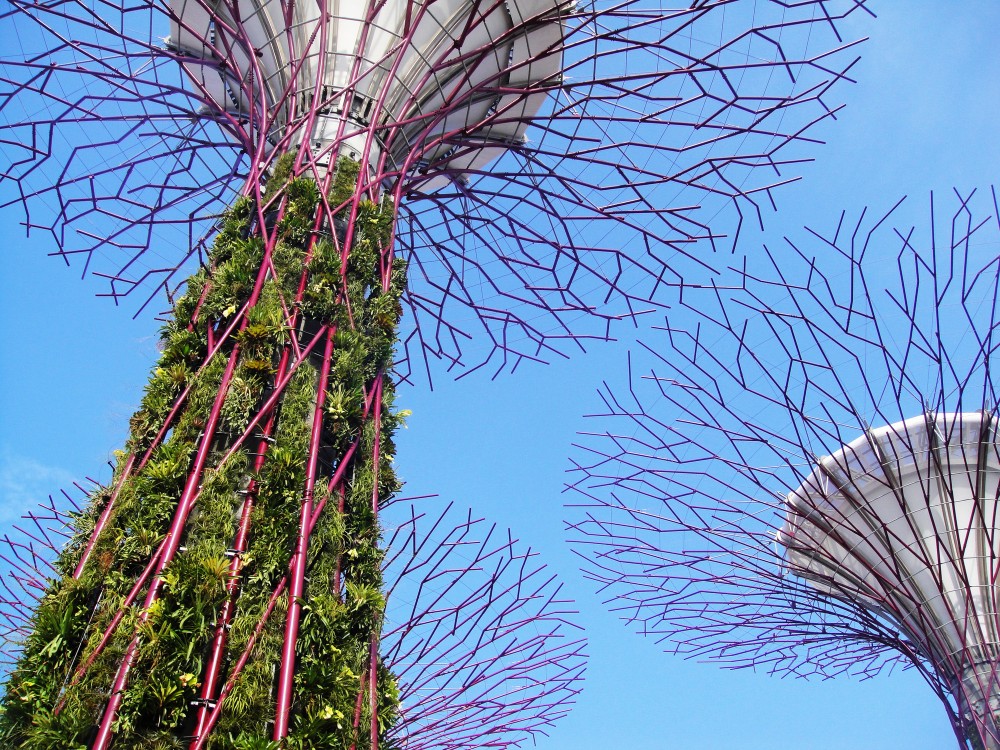 Gardens by the Bay / Grant Associates