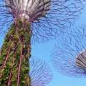Gardens by the Bay / Grant Associates Gardens by the Bay / Grant Associates Courtesy of Grant Associates