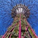 Gardens by the Bay / Grant Associates Gardens by the Bay / Grant Associates Courtesy of Grant Associates