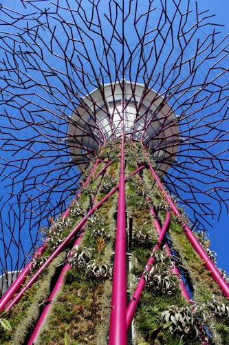 Gardens by the Bay / Grant Associates