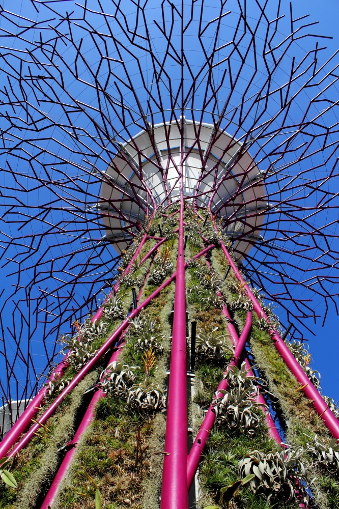 Gardens by the Bay / Grant Associates