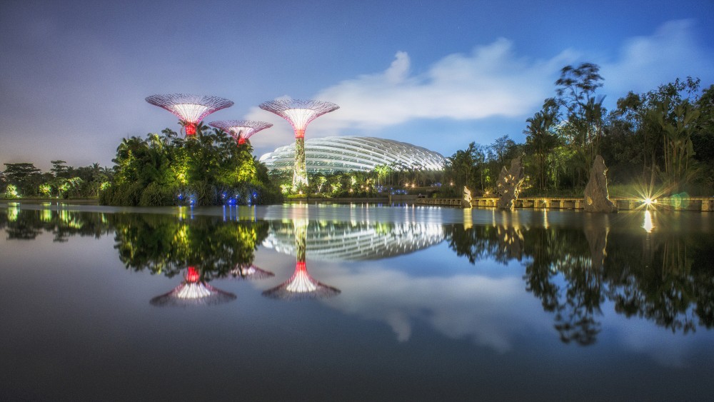 Gardens by the Bay / Grant Associates