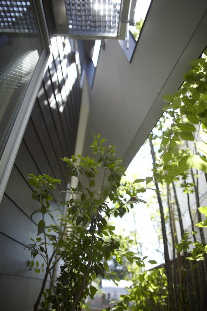 House of Setagaya / SKAL + OUVI