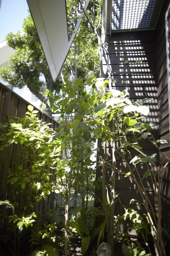 House of Setagaya / SKAL + OUVI