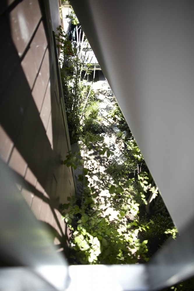 House of Setagaya / SKAL + OUVI