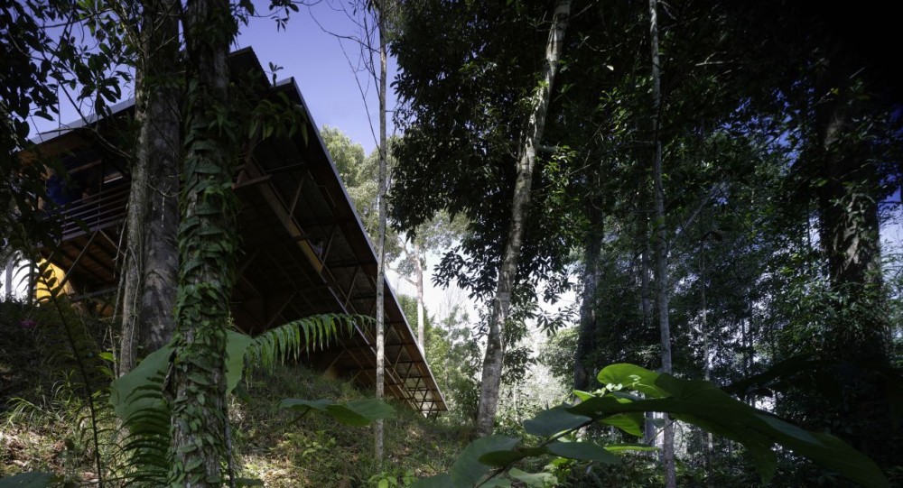 Shelter @ Rainforest / Marra + Yeh Architects