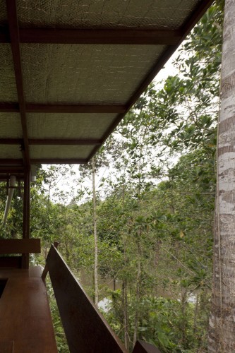 Shelter @ Rainforest / Marra + Yeh Architects