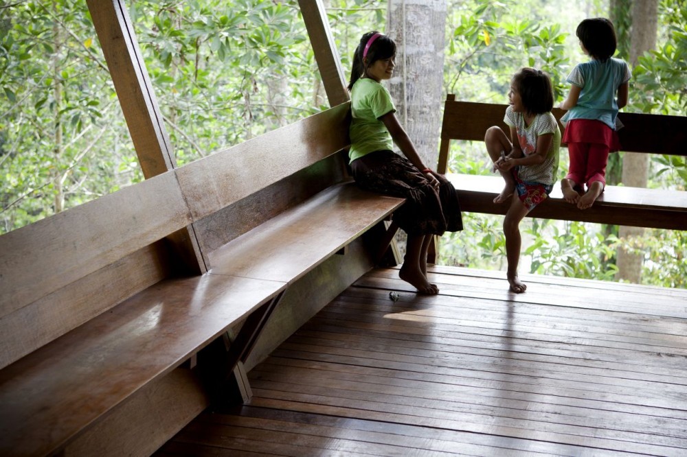 Shelter @ Rainforest / Marra + Yeh Architects