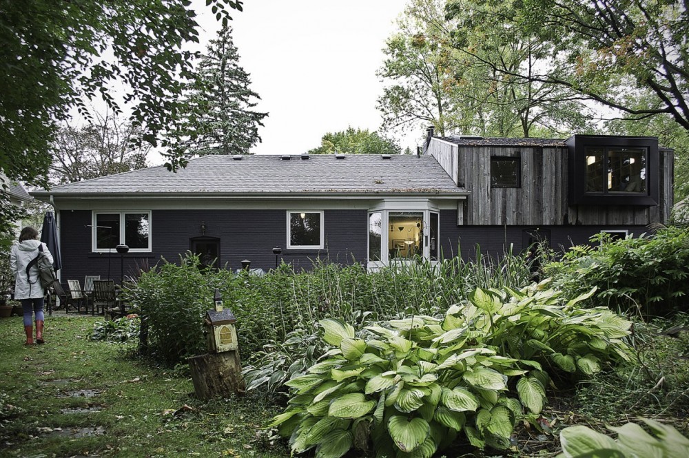 Eden House / The Practice of Everyday Design