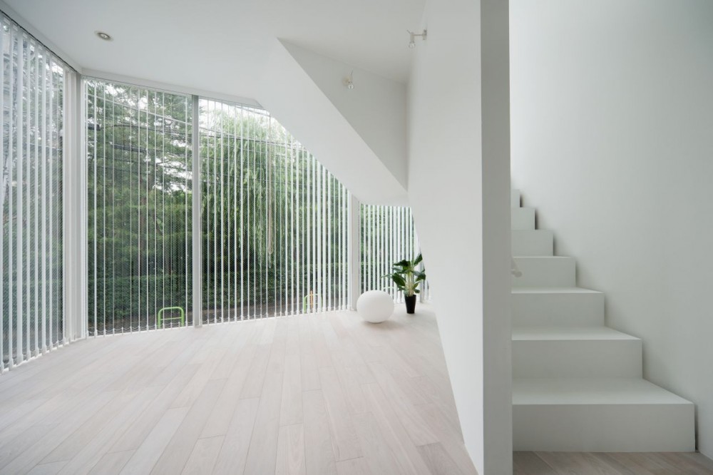Life in spiral / Hideaki Takayanagi