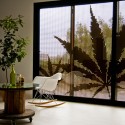 Infiniski Menta House / James & Mau Infiniski Menta House / James & Mau © Luis Salazar