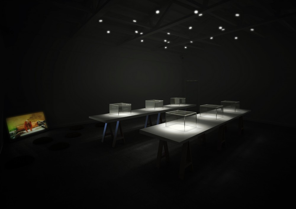 Venice Biennale 2012: Uruguayan pavilion presents ‘Panavision’