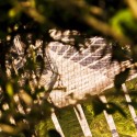 [DES]dobrar Memorial (7) © Rodrigo Jorge