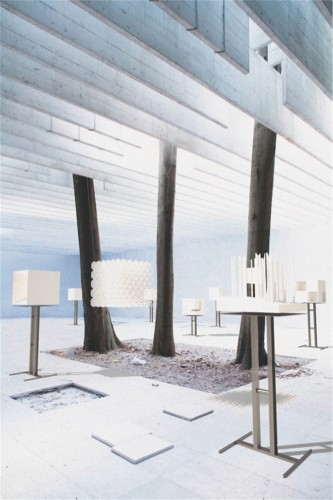 Venice Biennale 2012: Nordic Pavilion (60)