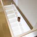 Staircase for Dogs (4) Staircase for Dogs (4) © Hiroyuki Oki / Decon Photo Studio