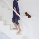 Staircase for Dogs (3) Staircase for Dogs (3) © Hiroyuki Oki / Decon Photo Studio