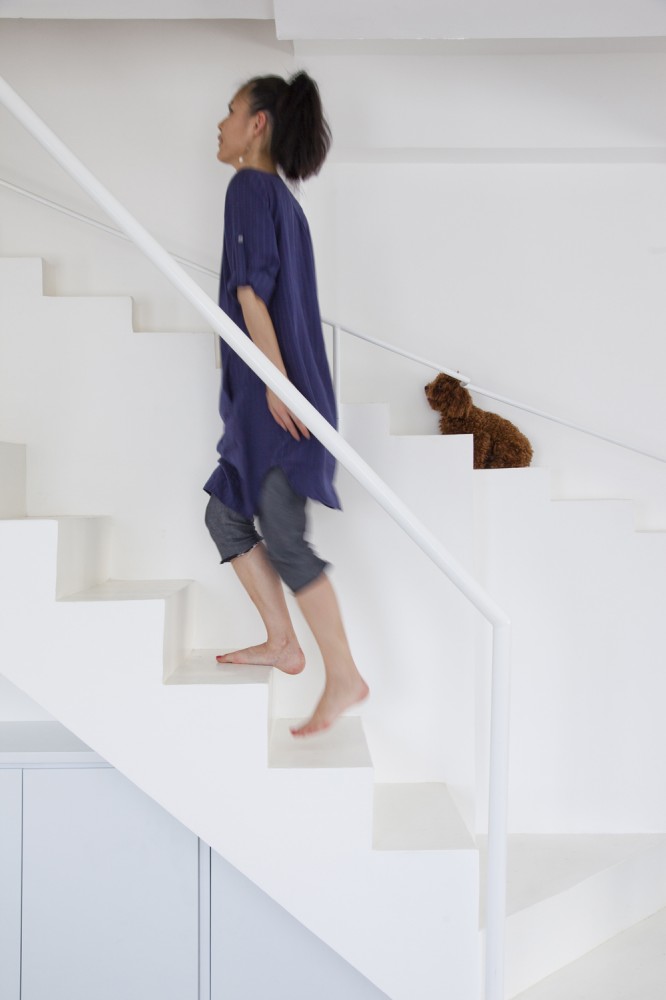 Staircase for Dogs / 07BEACH