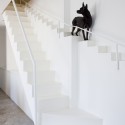 Staircase for Dogs (2) Staircase for Dogs (2) © Hiroyuki Oki / Decon Photo Studio