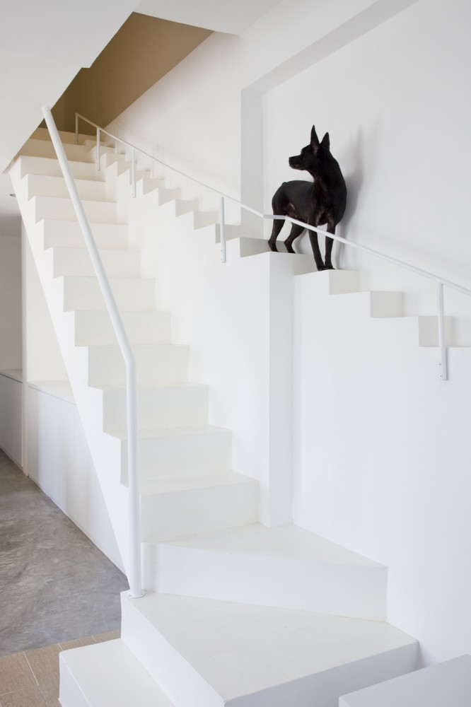 Staircase for Dogs / 07BEACH