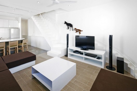 Staircase for Dogs (1)